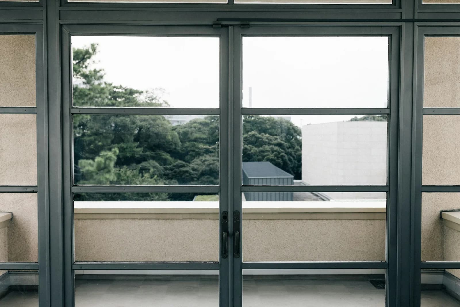 Slim steel double doors with divided lights opening to a terrace and trees