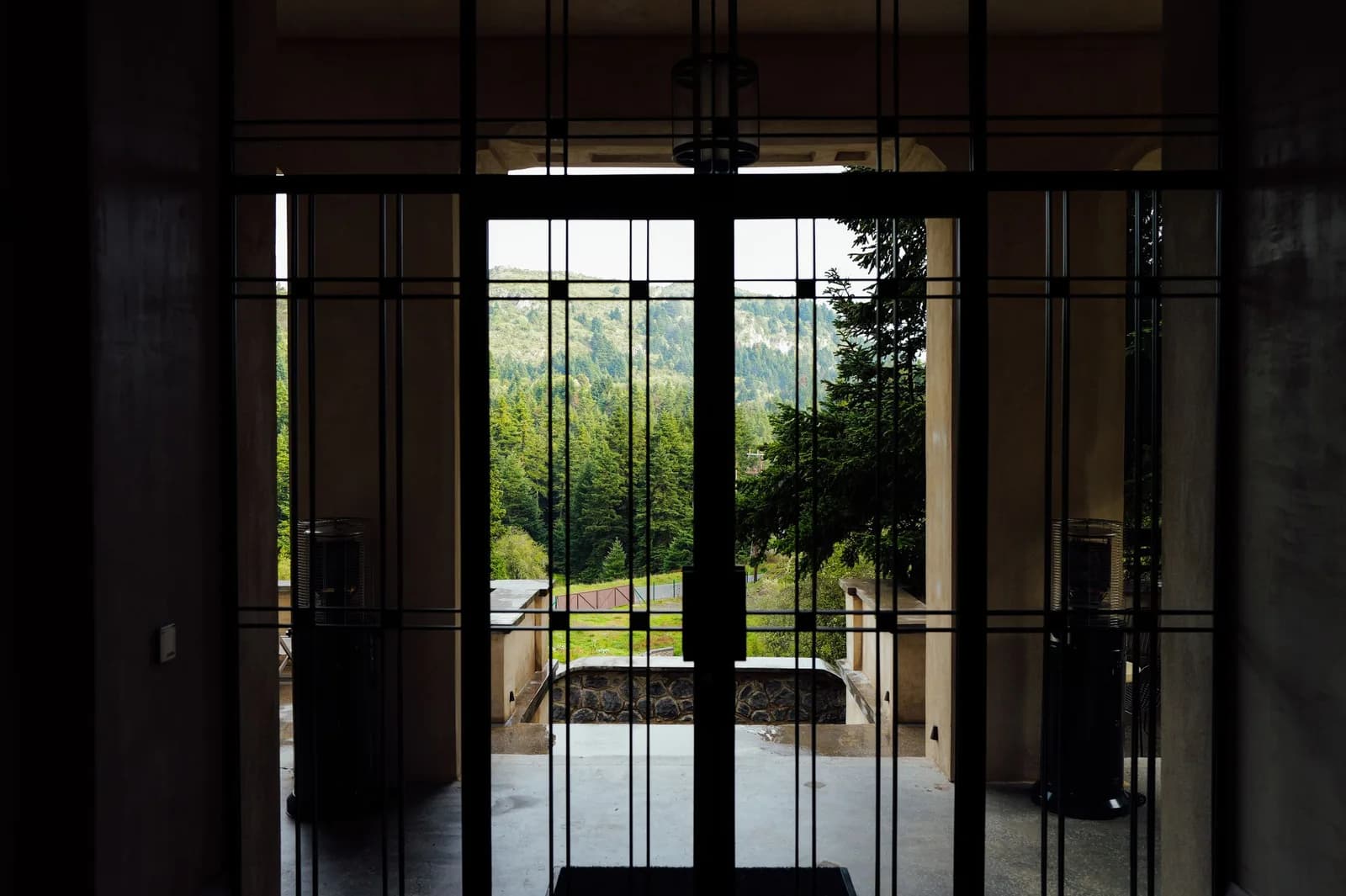Black steel glazed double doors in a dark interior looking out to a forested hillside